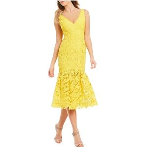 EUC Antonio Melani Lace Midi Dress